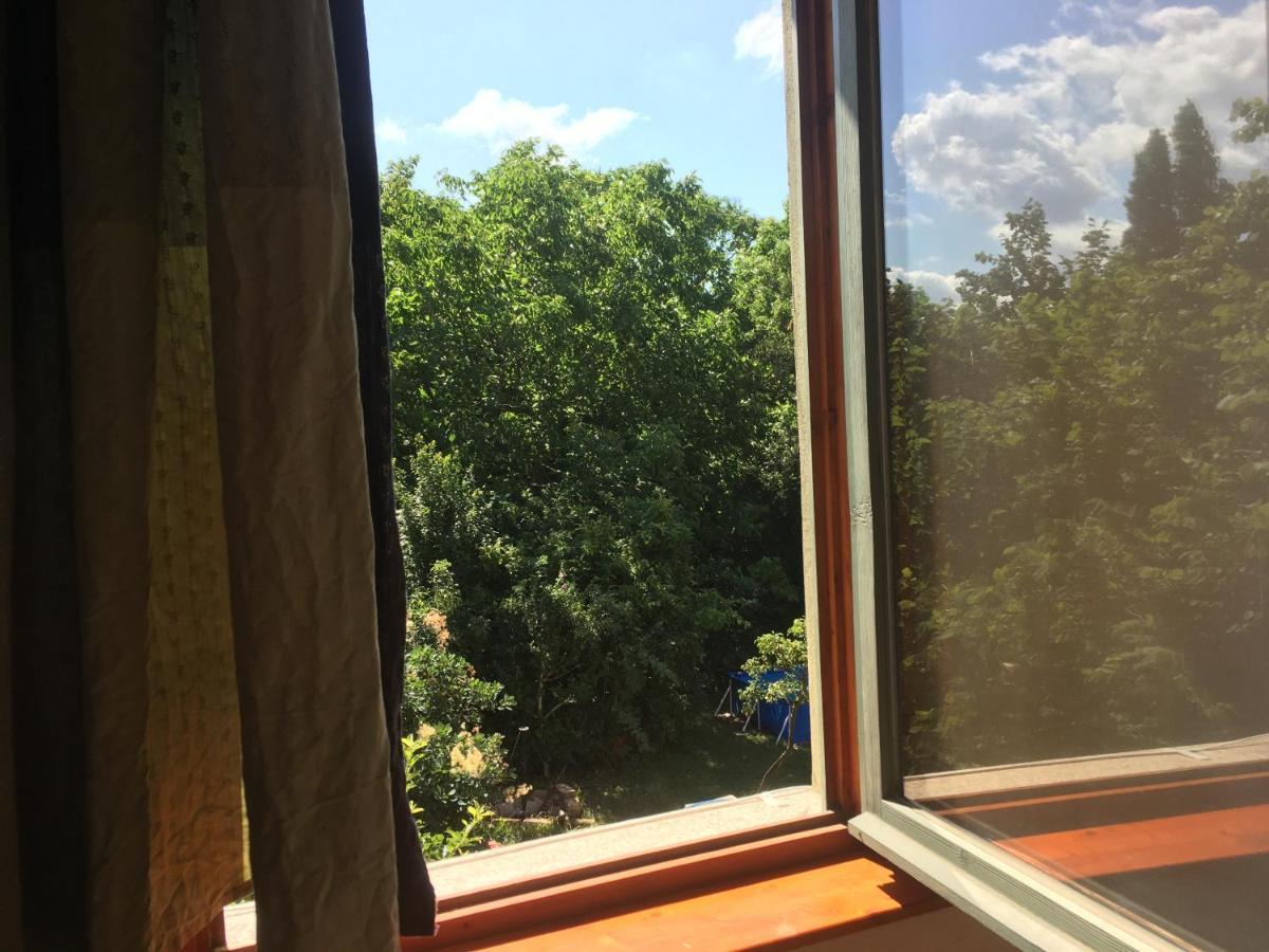 Budapest Garden Hostel Exteriör bild